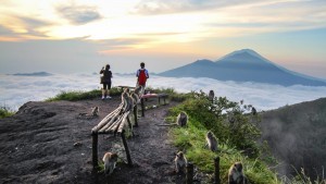 Things to do in Ubud 