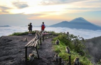 Things to do in Ubud