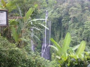 Sekumpul waterfall trekking