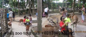 Bali zoo