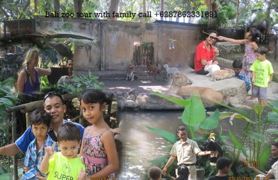 Bali zoo