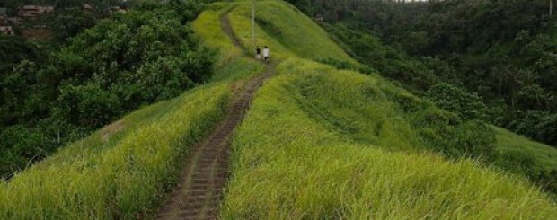 Things to do in Ubud