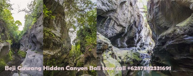 Bali sightseeing tour