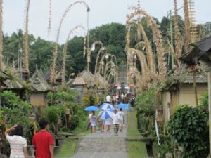 Bali Elephant Ride Country Side Tour 