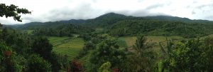 Kekeran Busung Biu Rice Terrace