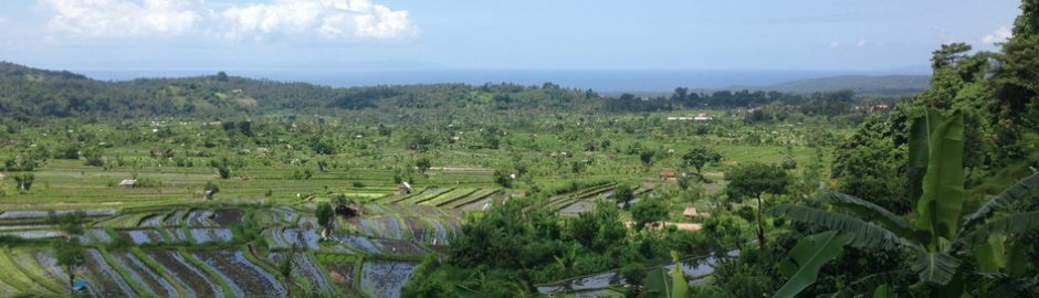 Tirta Gangga Water Palace