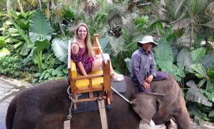 Bali ATV Elephant Ride 