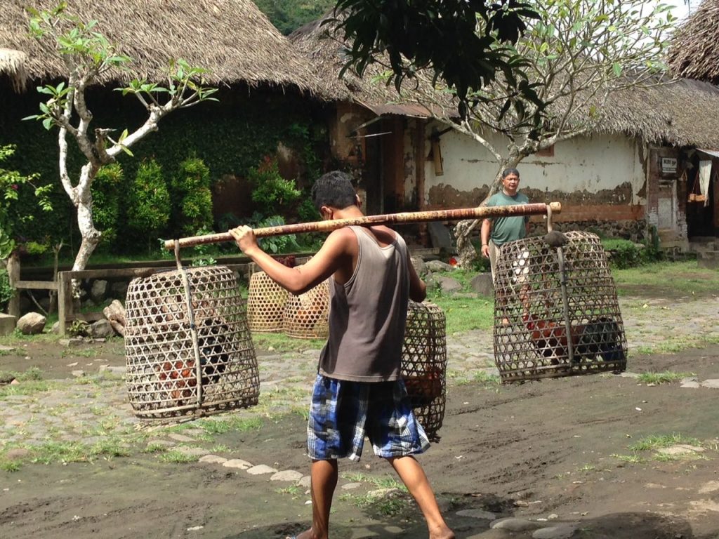 Tenganan Bali Ancient Village