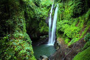 North Bali Hidden waterfall tour
