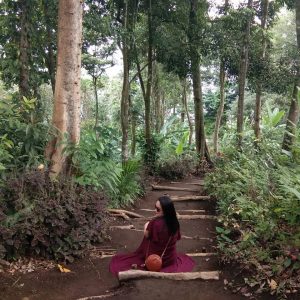 Banyumala Waterfall Tour